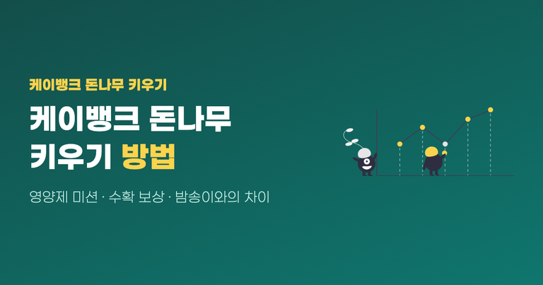 케이뱅크 돈나무 키우기 방법